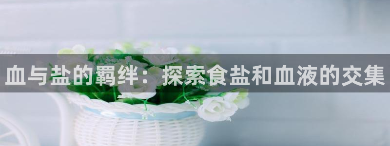 威九国际网站经常打不开网页