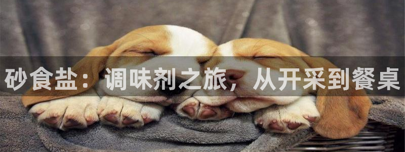 威九国际网站怎么样