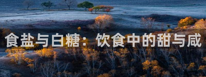 威九国际v96 bet会黑吗