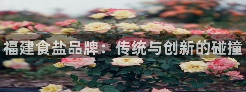 威九国际理论片最经典十首歌曲