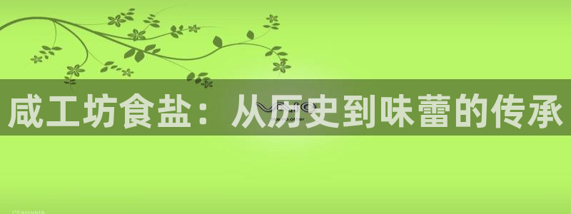威九国际客服电话是多少