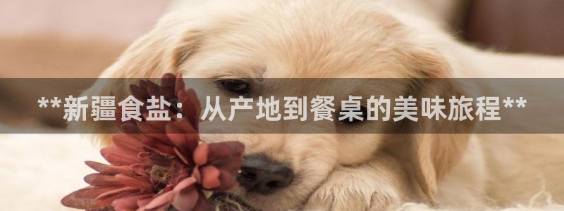 威九国际网站进入客服中心