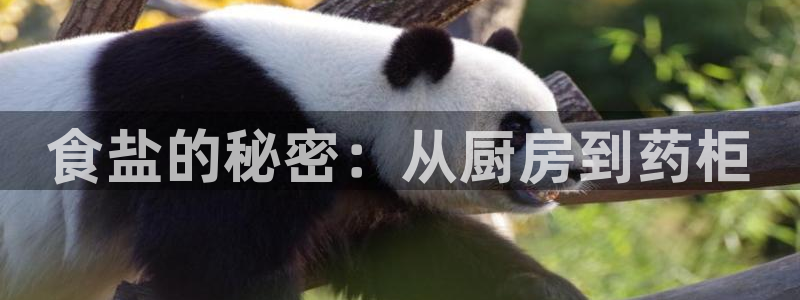 威九国际app哪个地方
