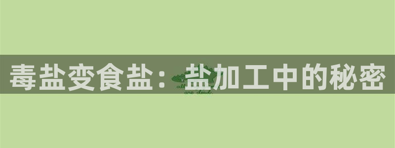 78m.ppt威九国际官网版