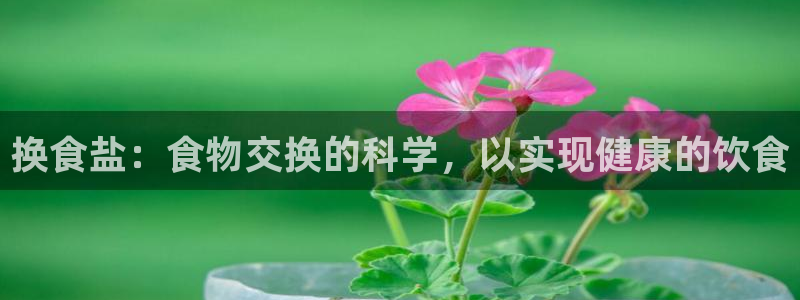 威九国际网站入口官网首页下载