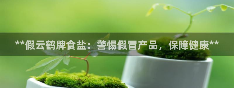 威九国际网站客服电话多少号