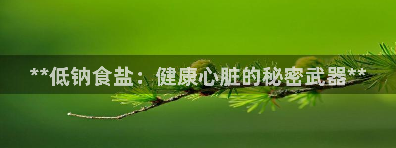 威九国际78mB官网版