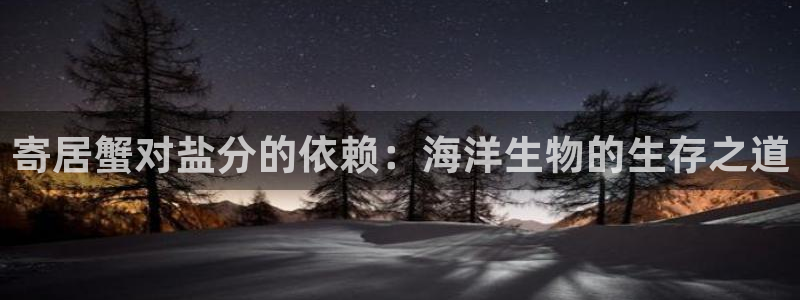 威九国际取款多到账