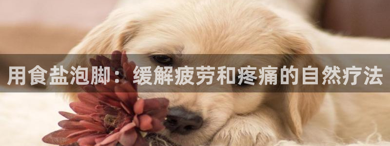 威九国际集团66m一6