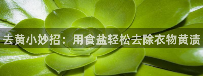 威九国际78mB官网版