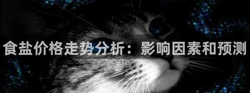 威九国际可以退钱吗怎么退款