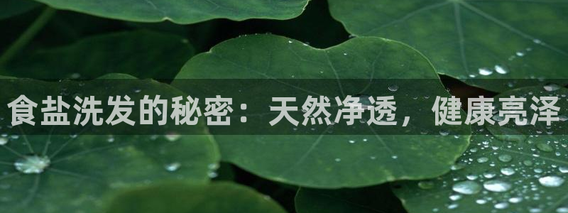 威九国际网站经常打不开