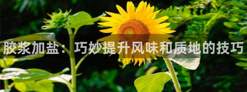 威九国际官网在线进入网站查询网址