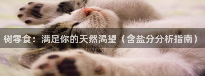 威九国际可以赚到钱