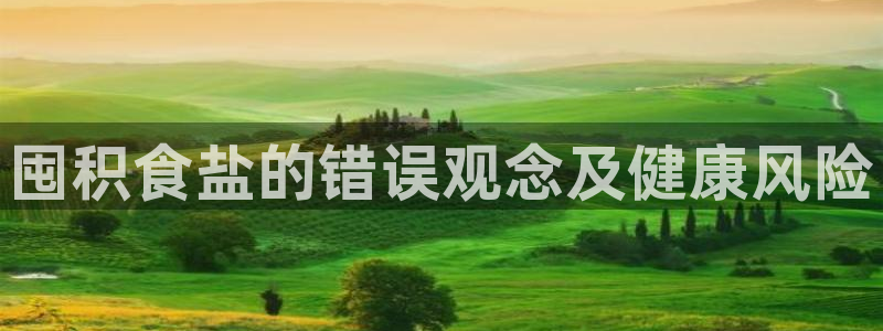 保定威九网络科技有限公司怎么样