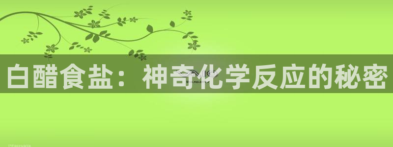 威九国际的金融服务有哪些