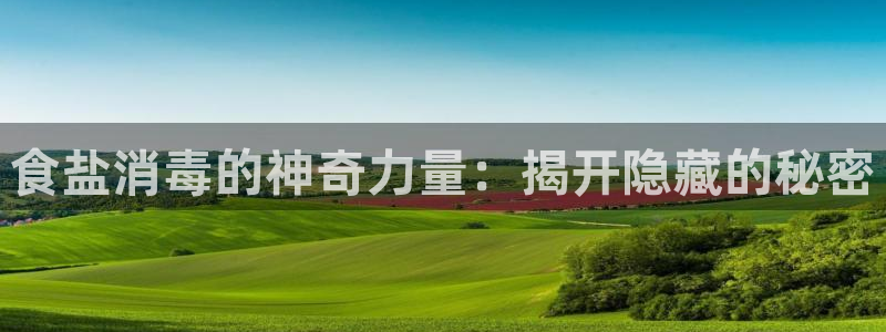 威九国际APP入口