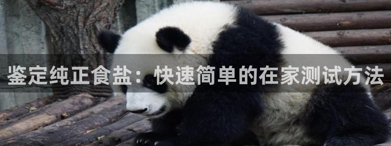 威九国际最受欢迎的功能