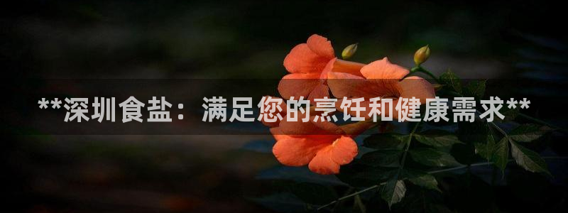 威九国际ppt免费